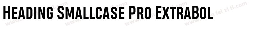 Heading Smallcase Pro ExtraBold字体转换